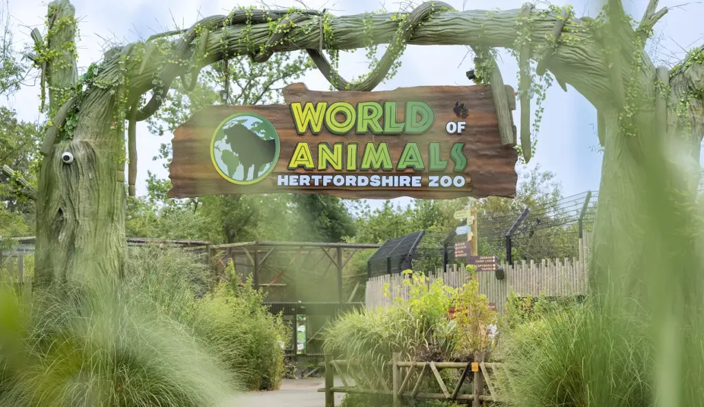 DSC 5501 copy 1246x720